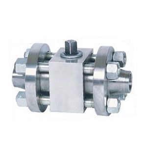 �߉��䓌������y